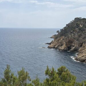 Reisverslag AE2025 20250615 145235