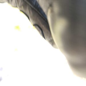 20260610 123927